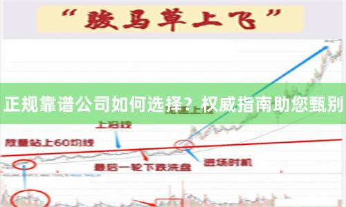 正规靠谱公司如何选择？权威指南助您甄别