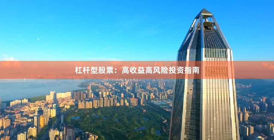 杠杆型股票:高收益高风险投资指南